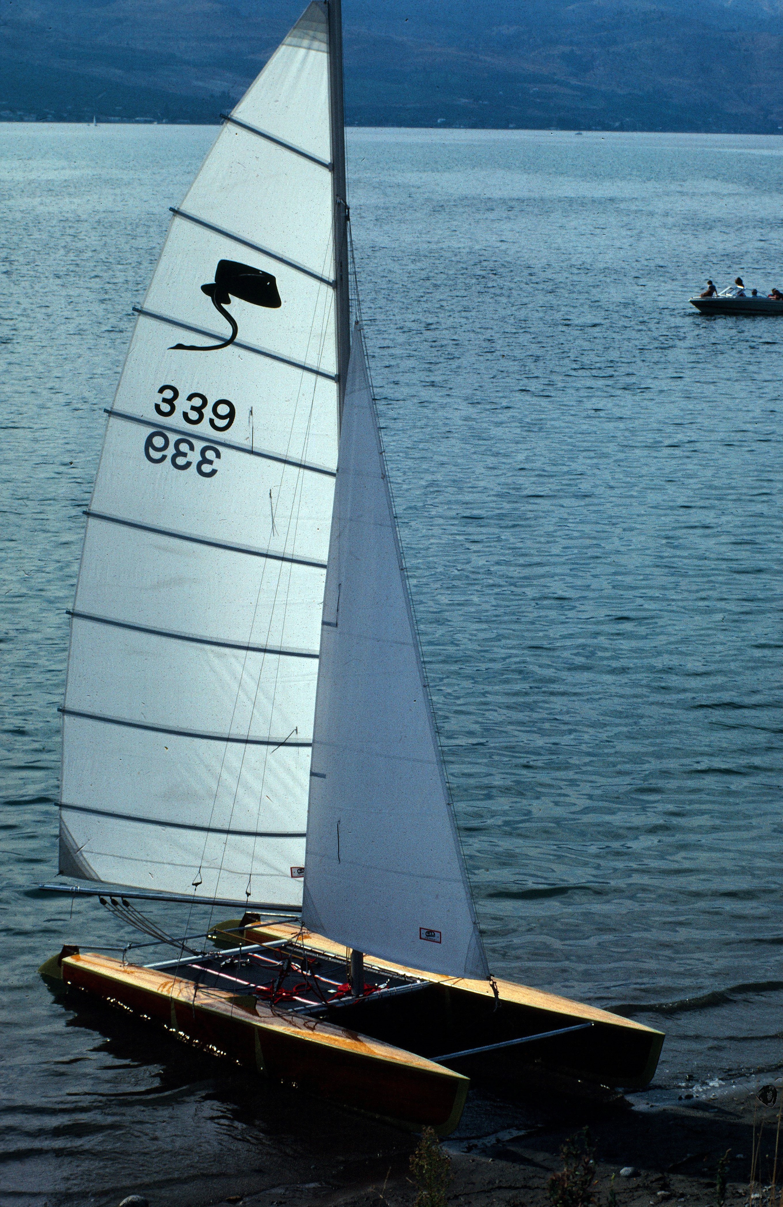 Used Sailboats For Sale in Washington by owner | 1980 18 foot Stingray catamaran